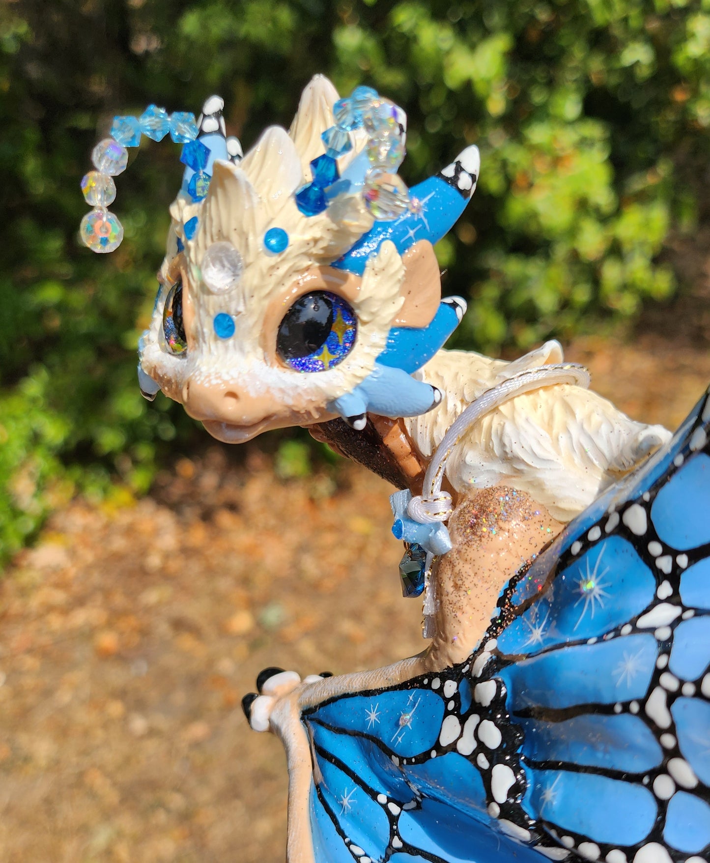 🦋🐲 AZURE 🐲🦋 the blue butterfly wyvern