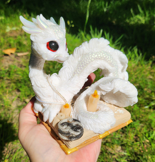 🐉📖 FALCOR 📖🐉  From the Book