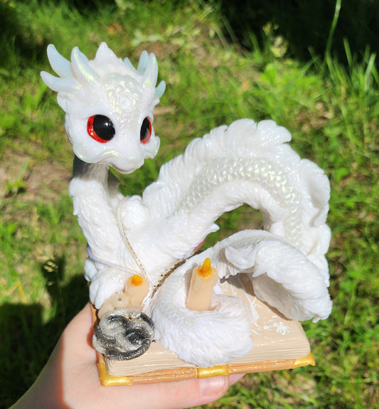 🐉📖 FALCOR 📖🐉  From the Book