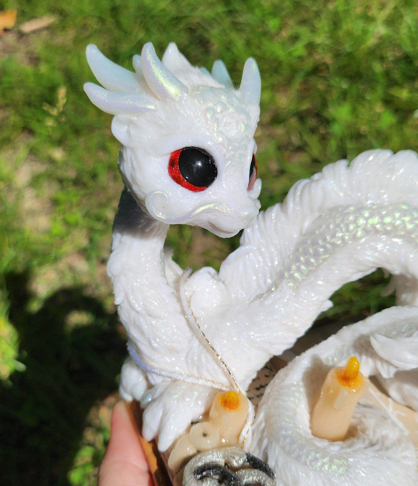🐉📖 FALCOR 📖🐉  From the Book