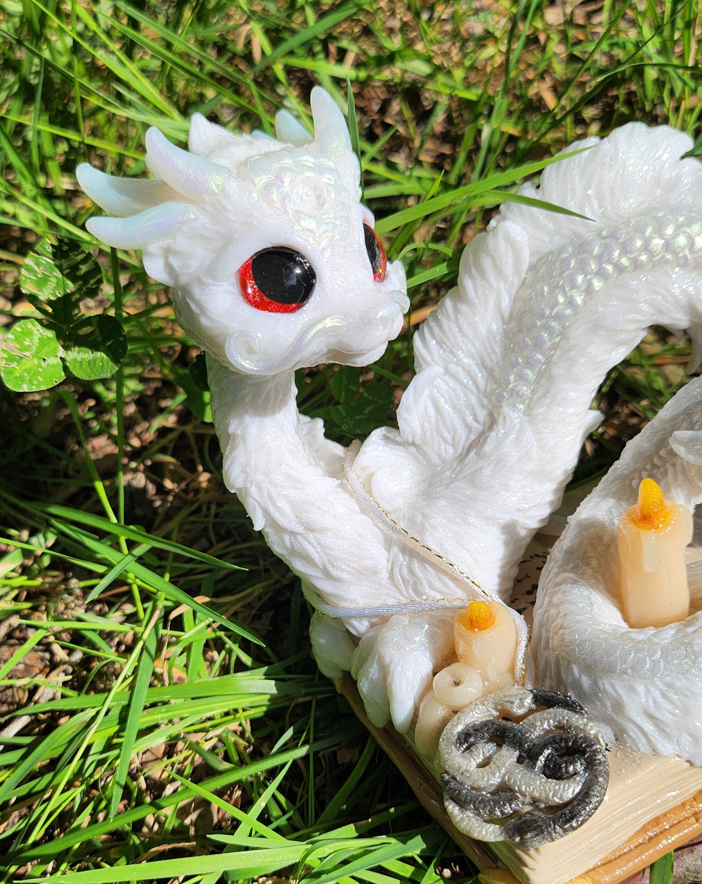 🐉📖 FALCOR 📖🐉  From the Book